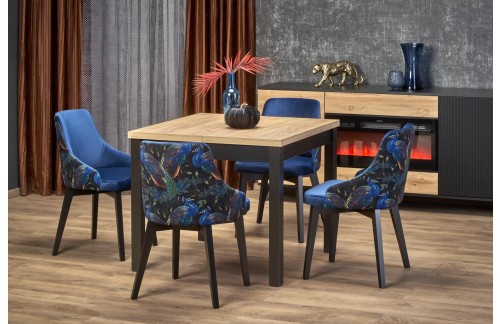 Proširivi blagovaonski stol Alren