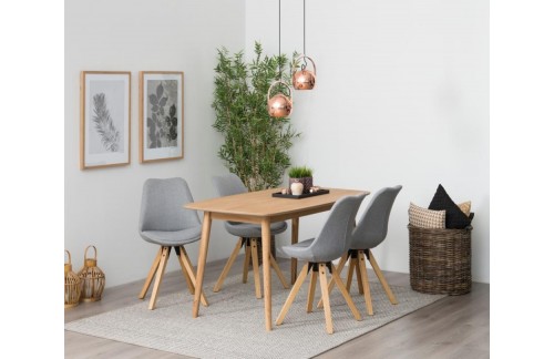 BLAGOVAONSKI STOL HESTON