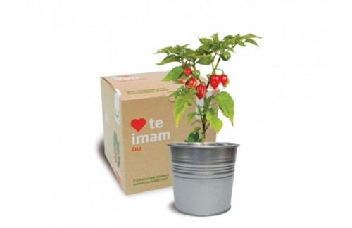 Poklon set Volim te!