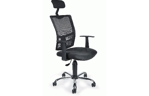 Uredska stolica ERNESTIA